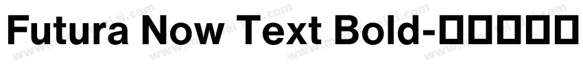 Futura Now Text Bold字体转换